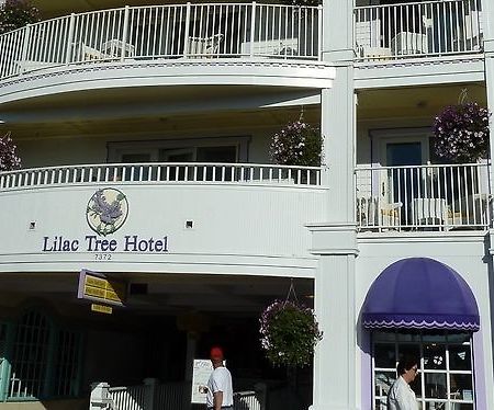 Lilac Tree Suites Mackinac Island Exterior photo